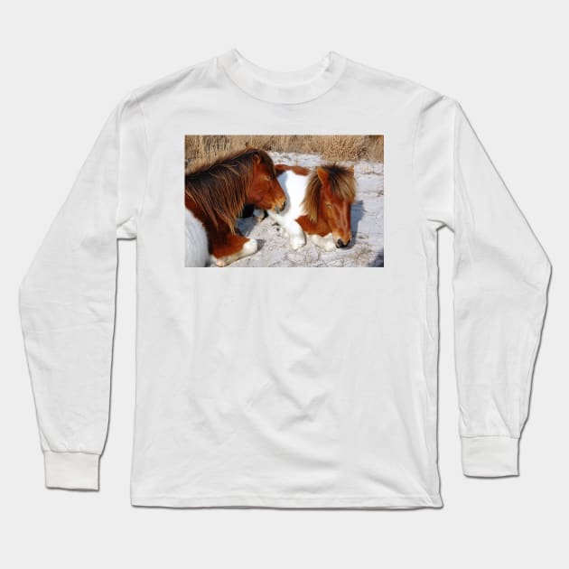Wild horses, wildlife, Assateague Island, Sleepy Twosome Long Sleeve T-Shirt by sandyo2ly